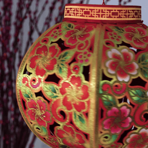 LIMITED EDITION 2024 3D Chinese Lantern